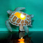 Capiz Shell Loggerhead Turtle Night Light - Mellow Monkey