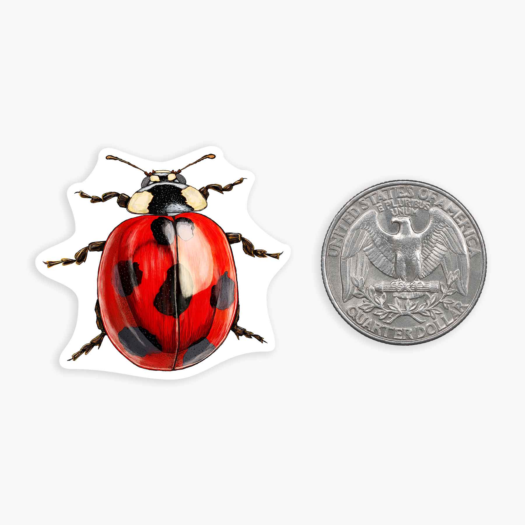 Ladybug - Mini Sticker #8 - Mellow Monkey
