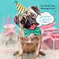 Pug - Freshcut Pop-Up Pet Greeting Cards - Mellow Monkey