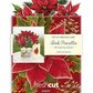 FreshCut Mini Birch Poinsettia Pop-Up Bouquet & Greeting Card - Mellow Monkey