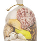 Asst Polished Shells in White Plastic Net - 7-in - Mellow Monkey