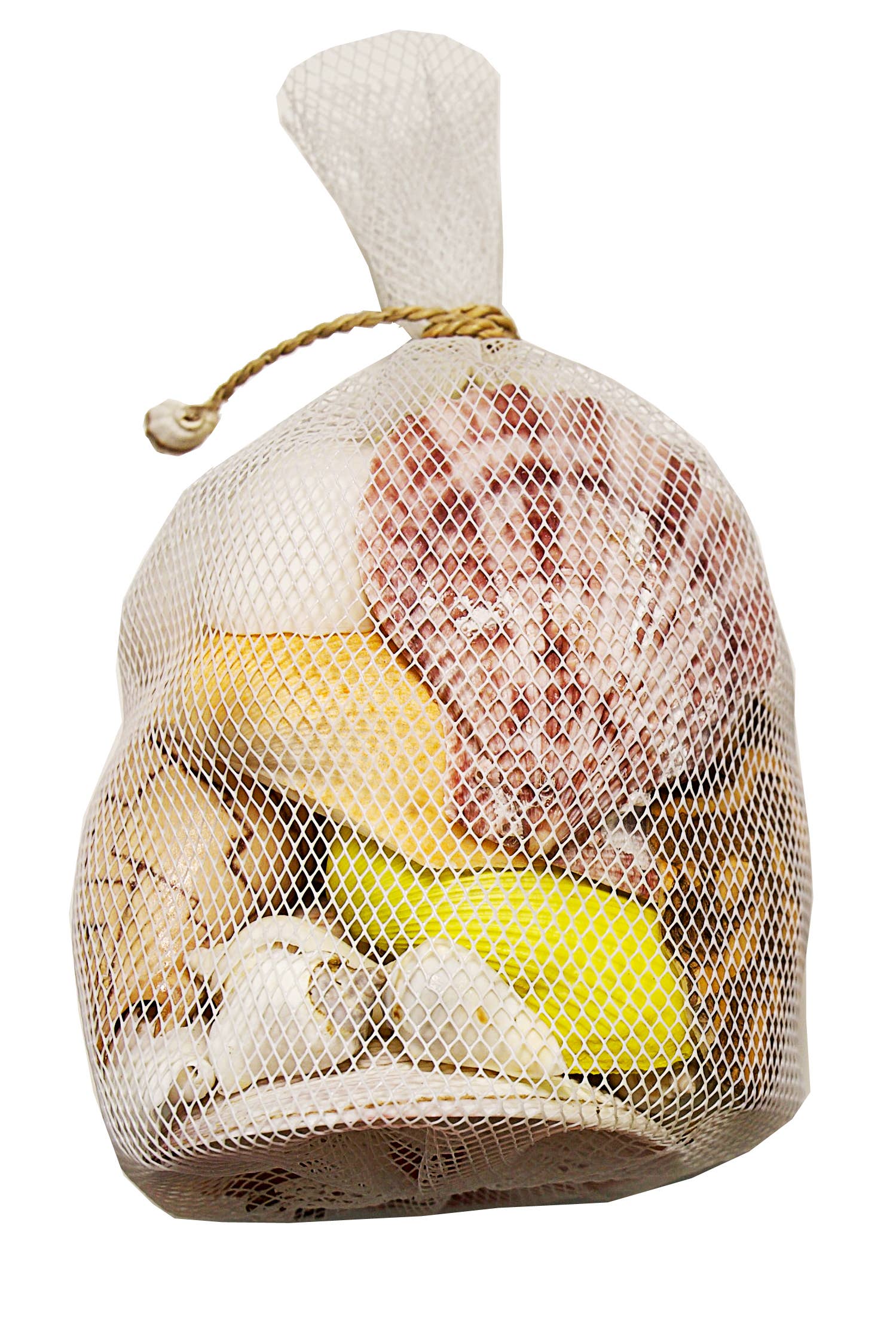 Asst Polished Shells in White Plastic Net - 7-in - Mellow Monkey