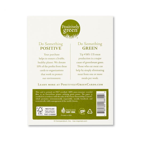 Positively Green Greeting Card - Birthday - I Wish You Everything You Wish For - Mellow Monkey