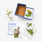 New York Botanical Garden Wildflower ID Flashcards - Mellow Monkey
