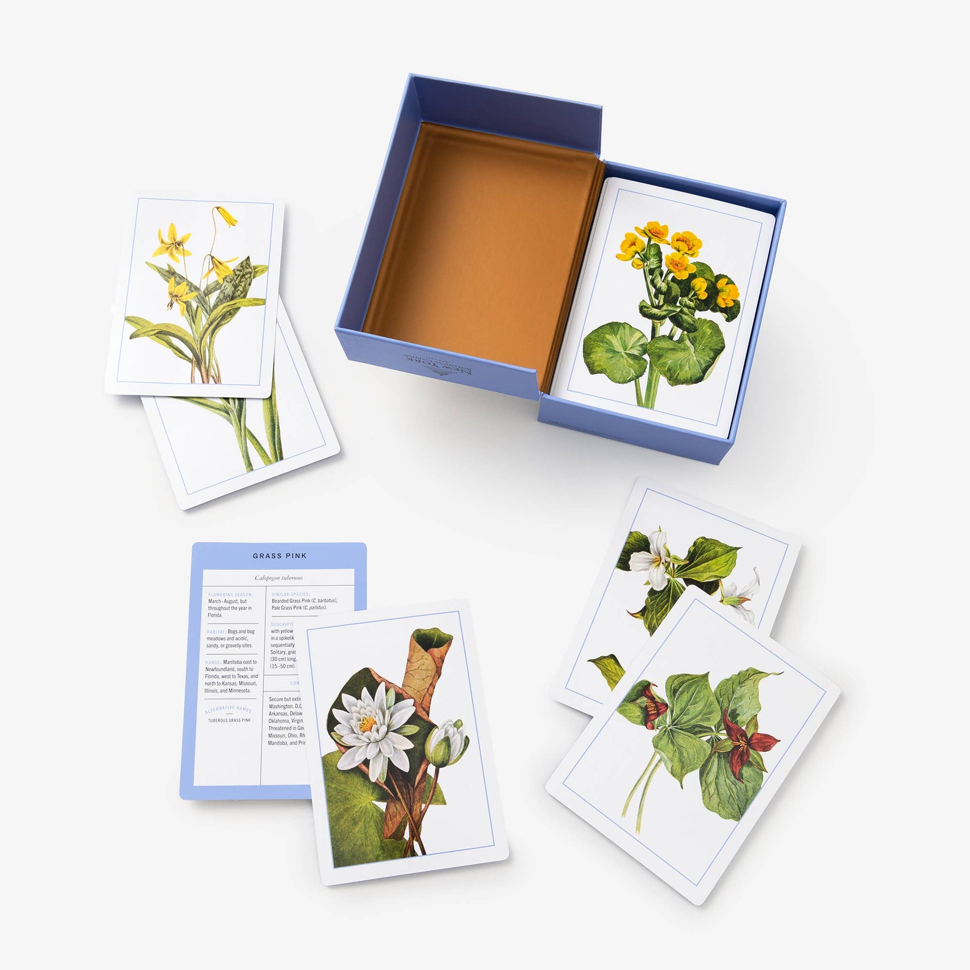 New York Botanical Garden Wildflower ID Flashcards - Mellow Monkey