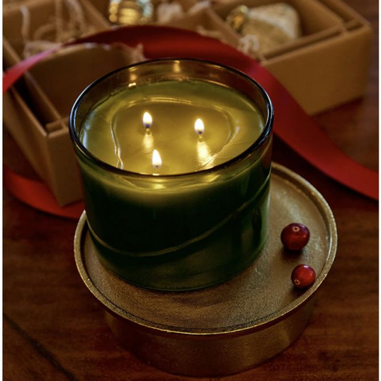Thymes Frasier Fir 3-Wick Candle - Green - 17-oz - Mellow Monkey