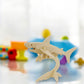 Shark: 3D Wooden Puzzle - Mellow Monkey