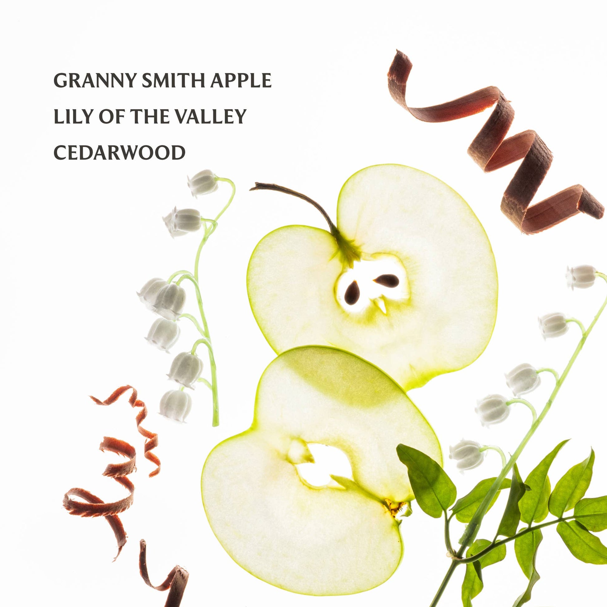 Applelicious - Power Mist Hydrating Hand Sanitizer - Mellow Monkey