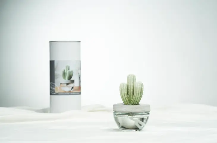 Cutting Grass - Saguaro Cactus Ceramic Fragrance Diffuser - Mellow Monkey