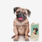 Pug - Freshcut Pop-Up Pet Greeting Cards - Mellow Monkey