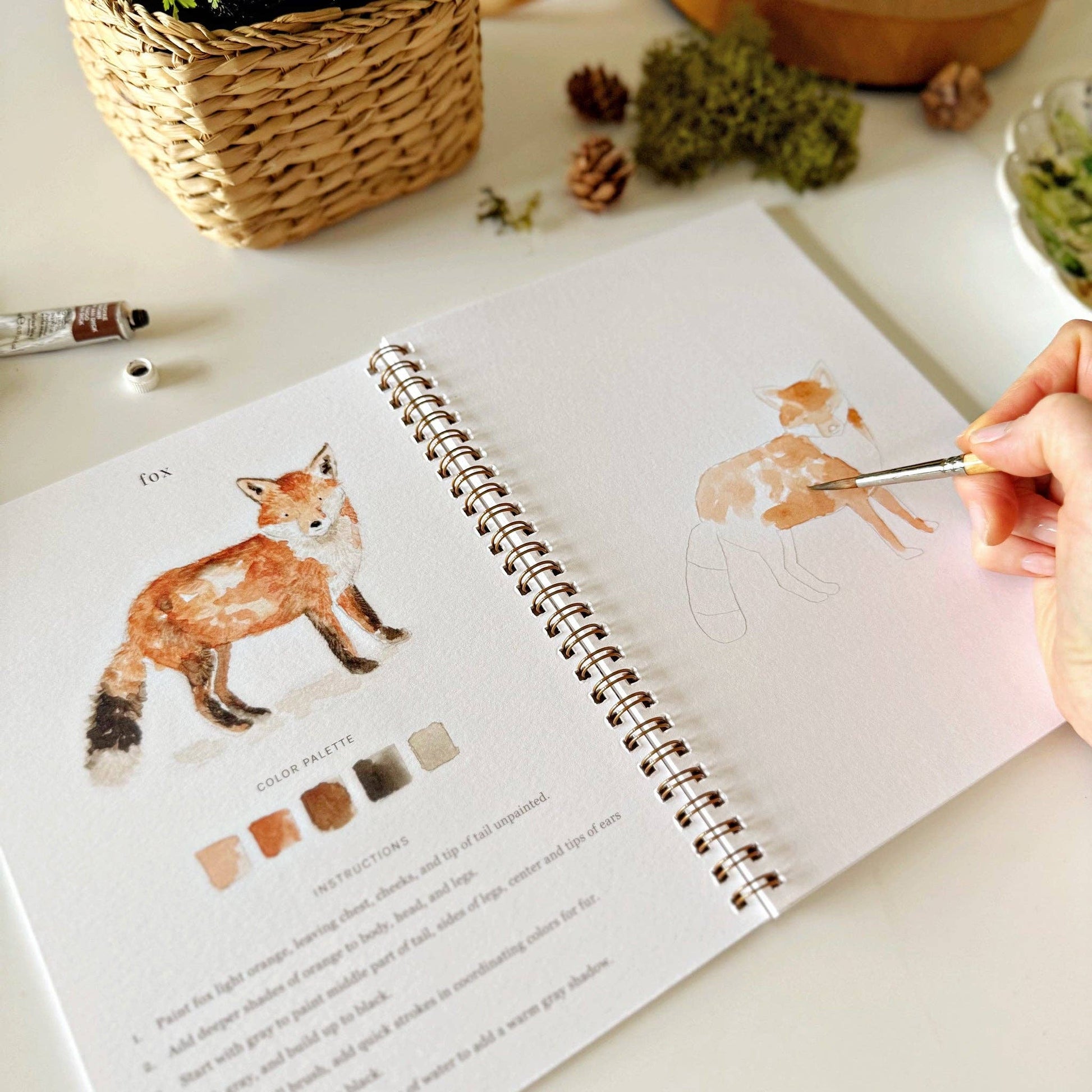 Woodland Watercolor Workbook - Mellow Monkey