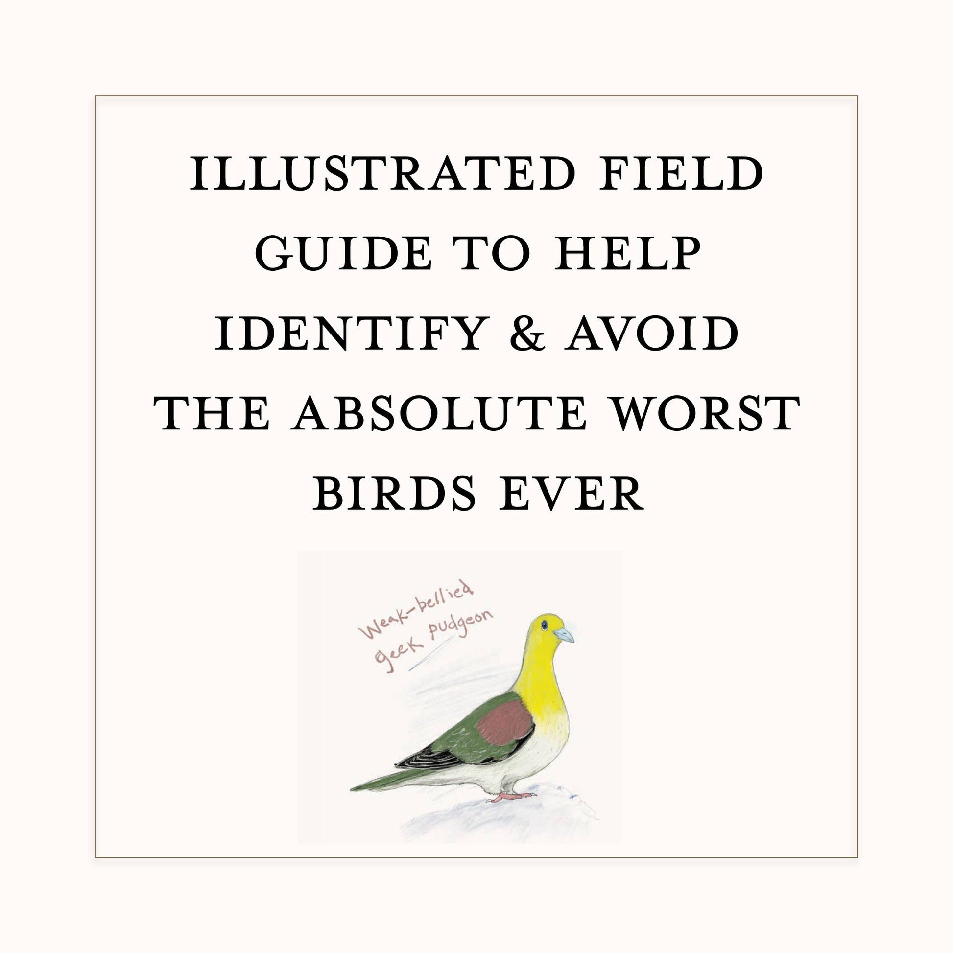 A Dumb Birds Field Guide to the Worst Birds Ever - Paperback - Matt Kracht - Mellow Monkey