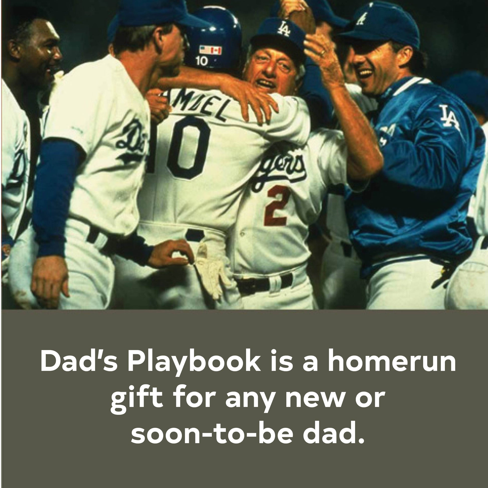 Dad's Playbook - Wisdom For Fathers - Tom Limbert - Mellow Monkey