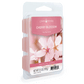 Cherry Blossom Classic Wax Melts - Mellow Monkey
