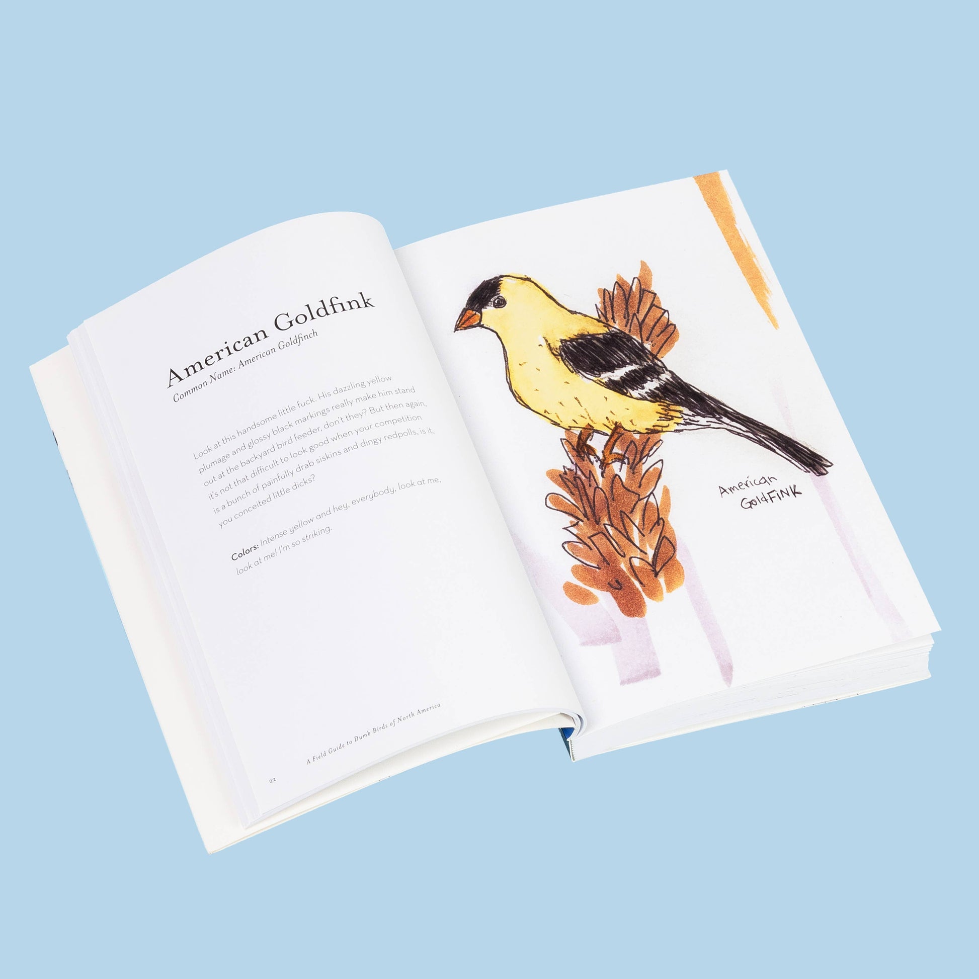 The Field Guide to Dumb Birds of North America - Paperback - Matt Kracht - Mellow Monkey