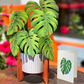 Freshcut Monstera Pop-Up Greeting Card - Mellow Monkey