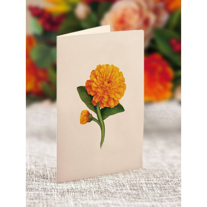 FreshCut Mini Pumpkin Spice Pop-Up Bouquet & Greeting Card - Mellow Monkey