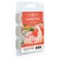 Sugared Citrus Classic Wax Melts - Mellow Monkey