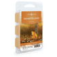 Enchanted Leaves Classic Wax Melts