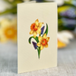 Freshcut English Daffodils Pop-Up Greeting Card - Mellow Monkey