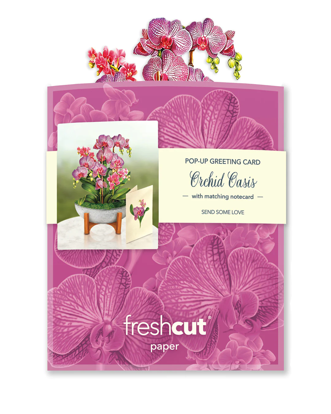 Freshcut Orchid Oasis Pop-Up Greeting Card - Mellow Monkey