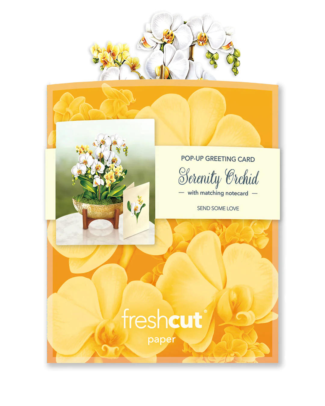 Freshcut Mini Serenity Orchid Pop-Up Greeting Card - Mellow Monkey