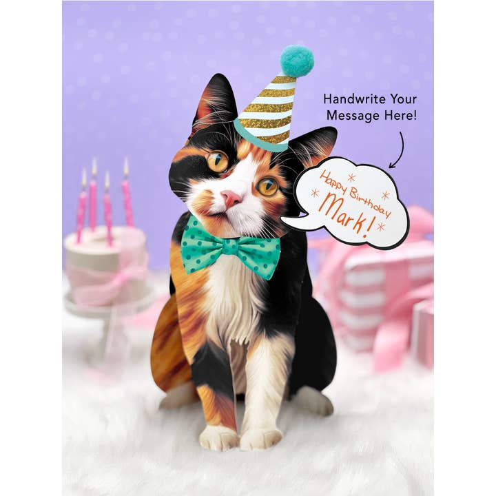 Calico Cat - Freshcut Pop-Up Pet Greeting Cards - Mellow Monkey