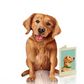 Golden Retriever - Freshcut Pop-Up Pet Greeting Cards - Mellow Monkey