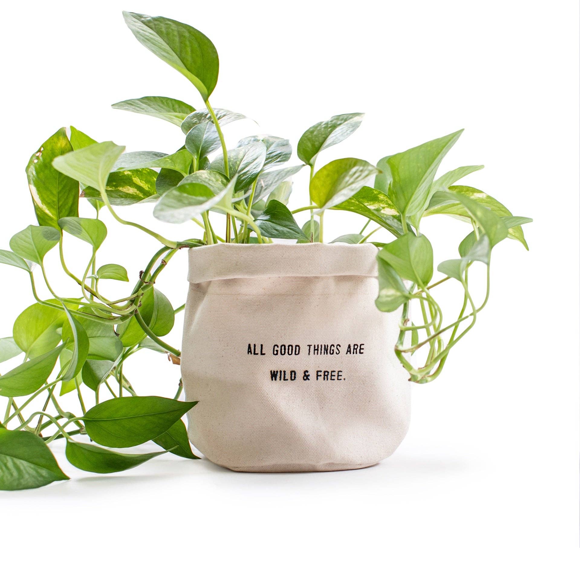 All Good Things Are Wild And Free - Large Canvas Planter - Mellow Monkey