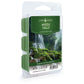 Mystic Falls Classic Wax Melts