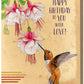 Rufous Hummingbird - Birthday Greeting Card - Mellow Monkey