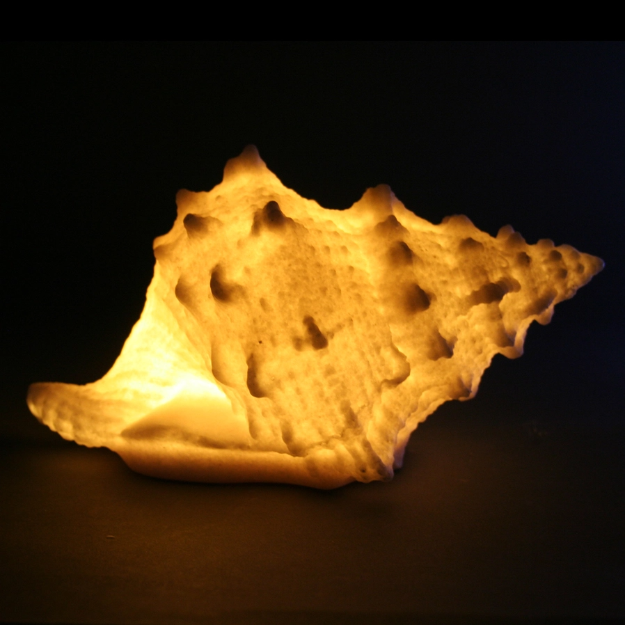 Bursa Shell Sandstone Light Box - 7-in – Mellow Monkey