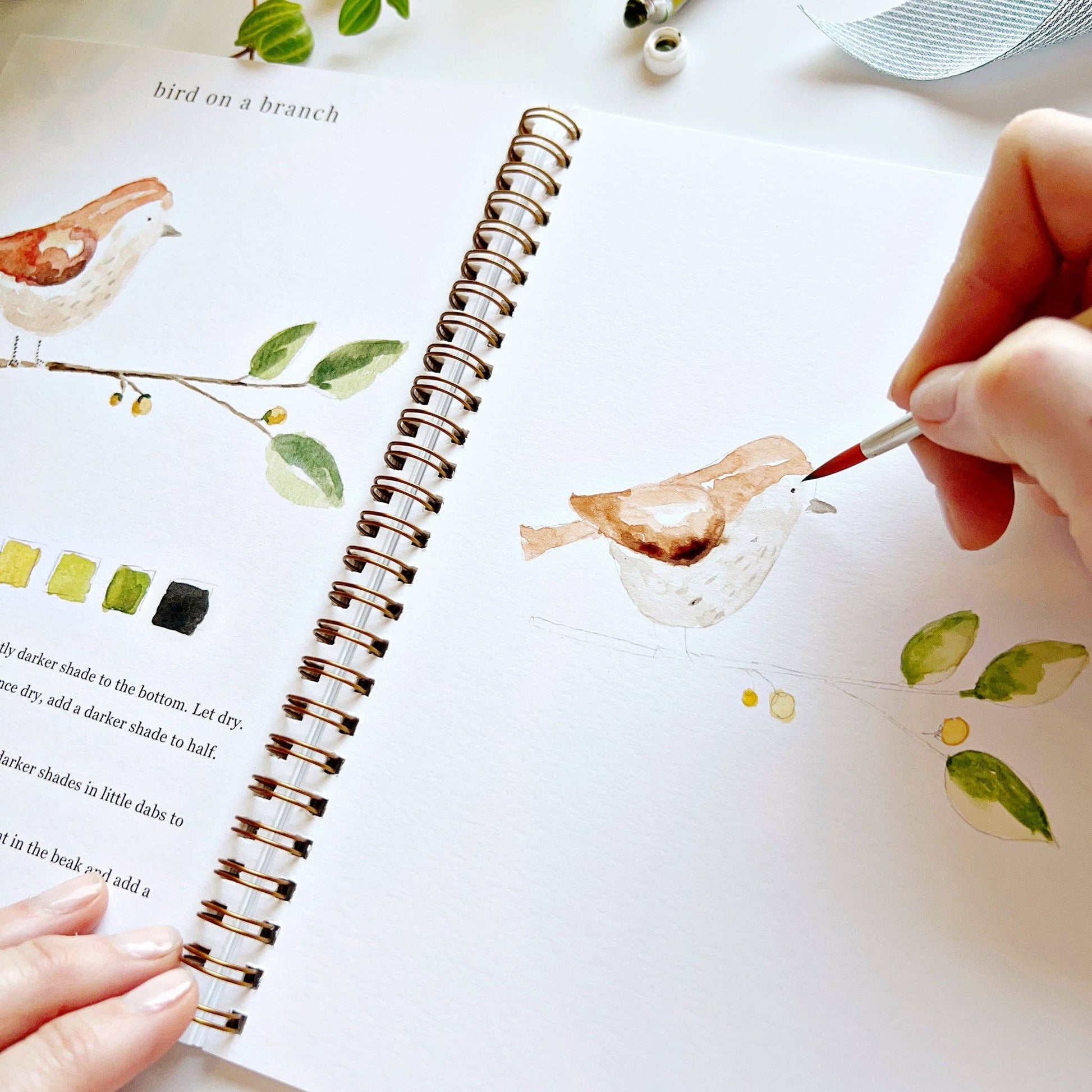 Animals - Watercolor Workbook with Water Color Paint Set and Brush - Mellow Monkey