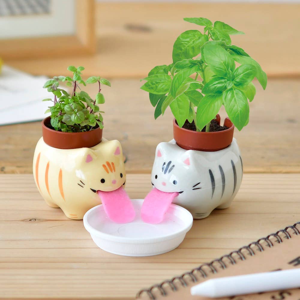 Two cat-shaped planters with small plants on a wooden surface.