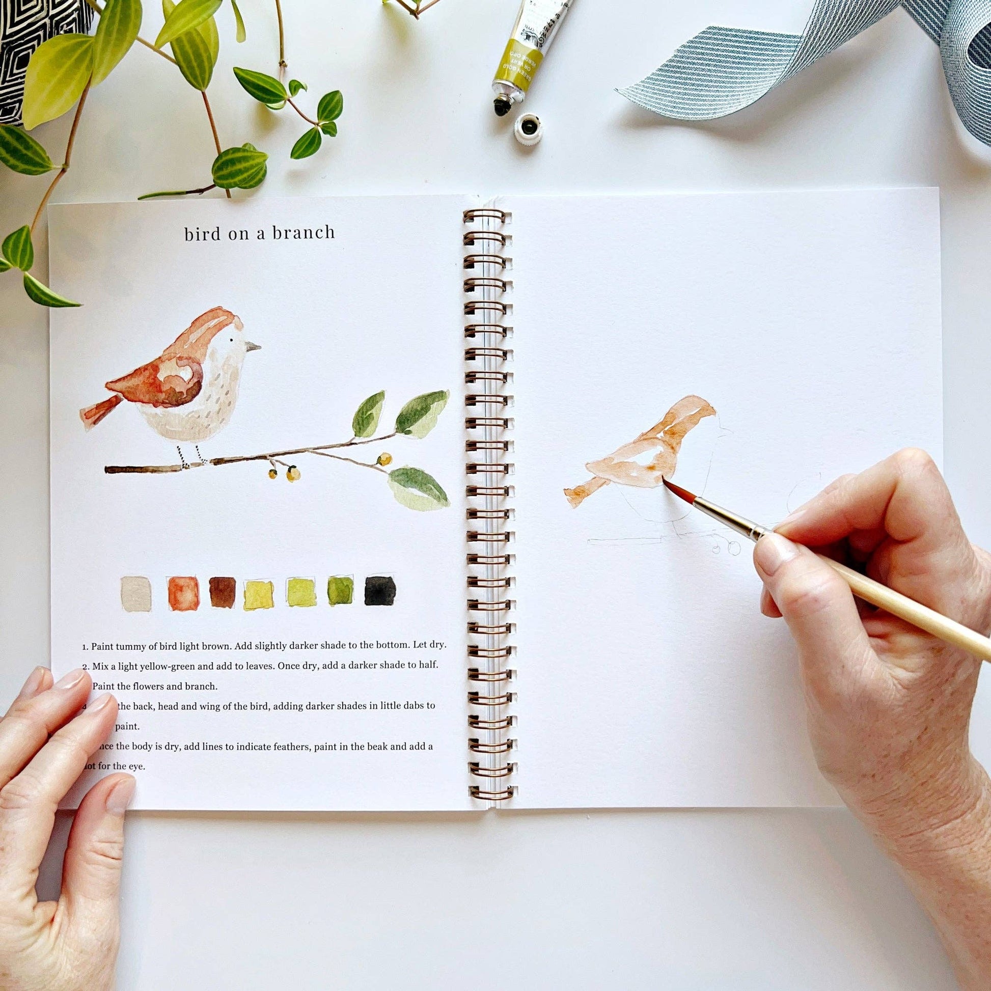 Animals - Watercolor Workbook with Water Color Paint Set and Brush - Mellow Monkey