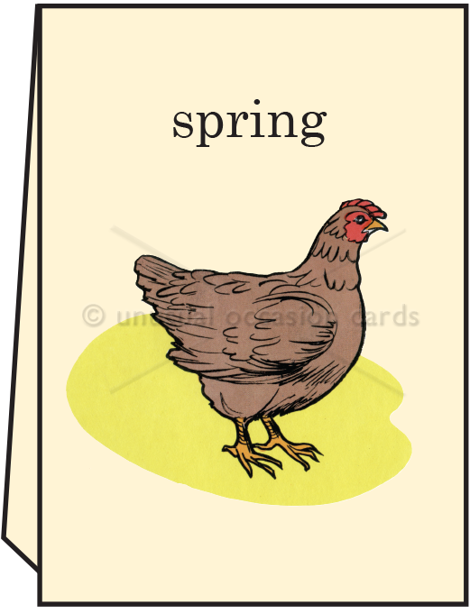 Spring Chicken - Greeting Card - Mellow Monkey