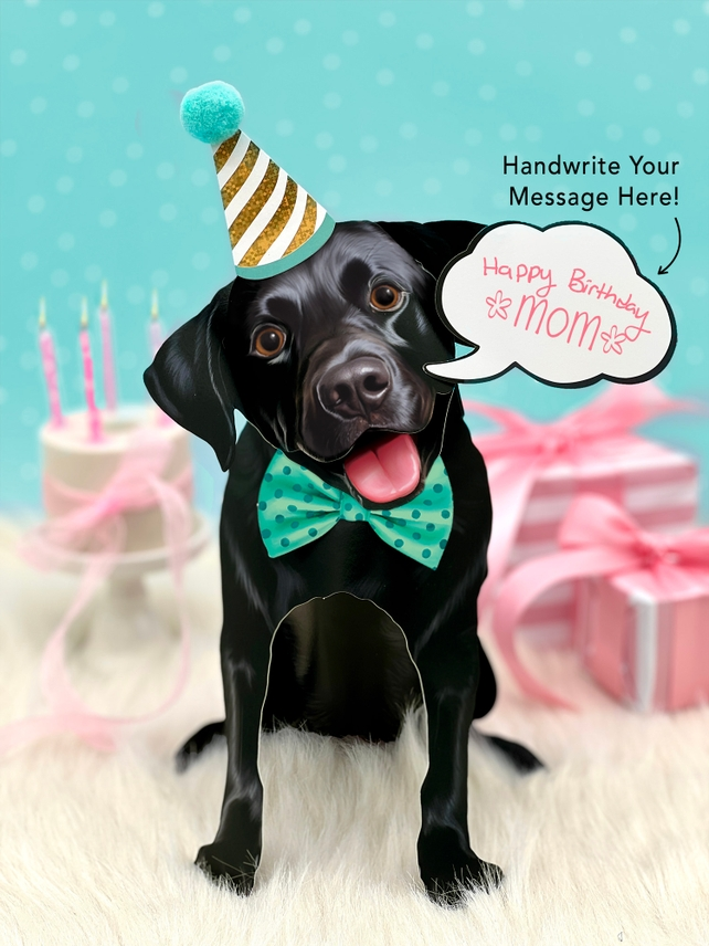 Black Lab - Freshcut Pop-Up Pet Greeting Cards - Mellow Monkey