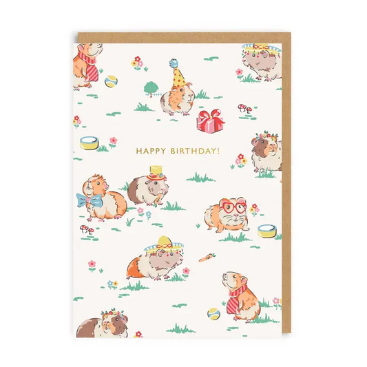 Happy Birthday - Guinea Pigs - Birthday Greeting Card - Mellow Monkey