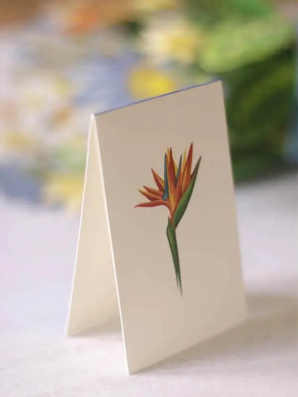 Tropical Bloom Pop-Up Bouquet Greeting Card