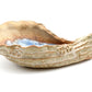 Oyster Blue Geyser - Decorative Plate/Dish - 4-in x 6-1/2 - Mellow Monkey
