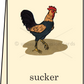 Cock Sucker - Greeting Card - Mellow Monkey