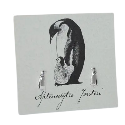 Penguin Stud Earrings - Sterling Silver Natural History - Mellow Monkey