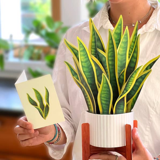 Freshcut Snake Plant Pop-Up Greeting Card - Mellow Monkey