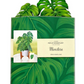 Freshcut Monstera Pop-Up Greeting Card - Mellow Monkey