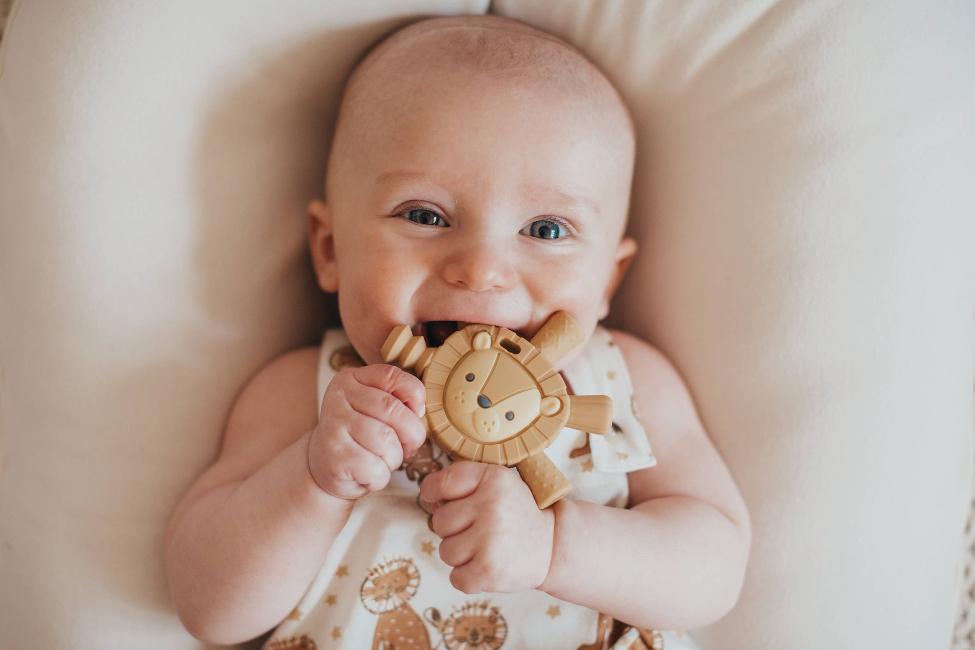 Ritzy Teether™ Baby Molar Teether: Lion - Mellow Monkey