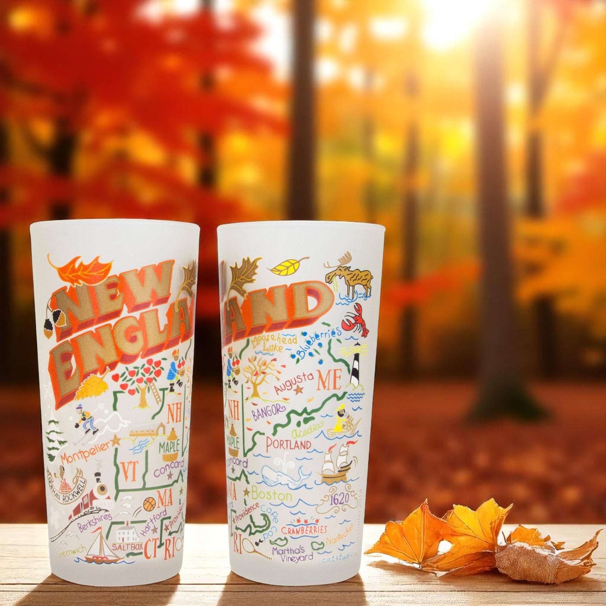 New England Drinking Glass - Set of 2 - 15-oz - Mellow Monkey