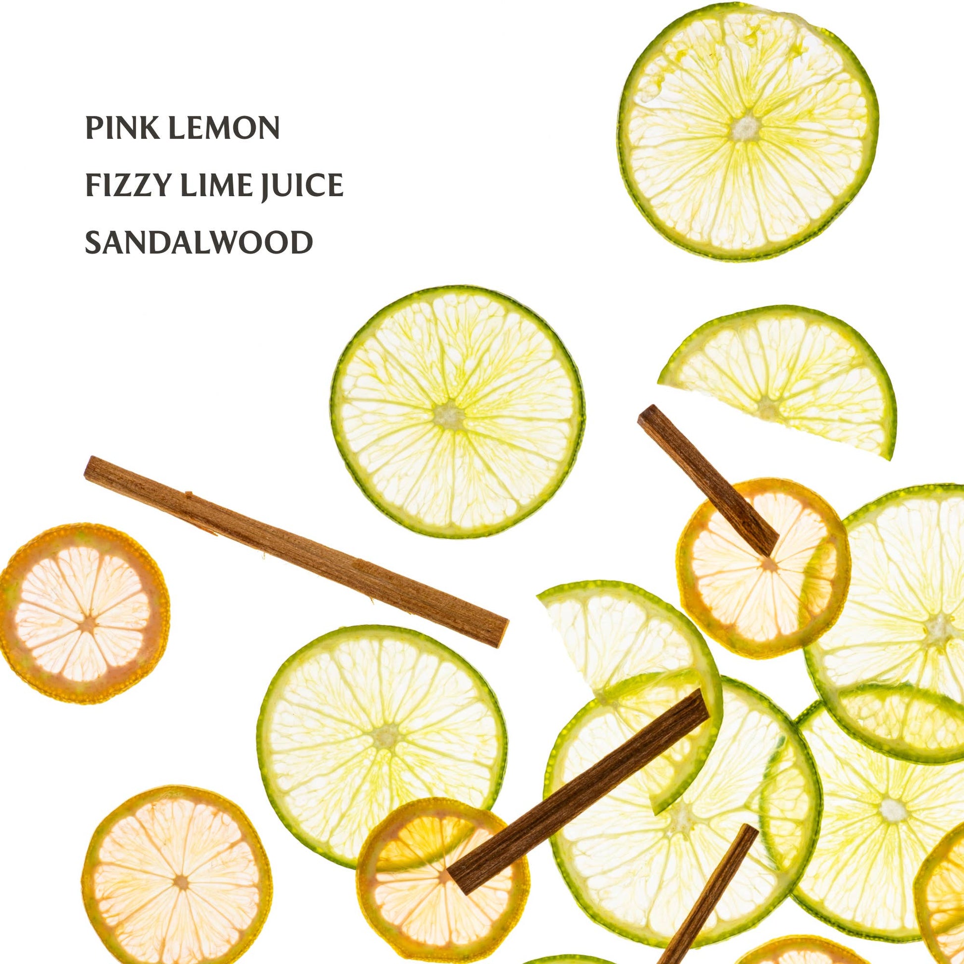 Lemon Lime Spritz - Power Mist Hydrating Hand Sanitizer - Mellow Monkey