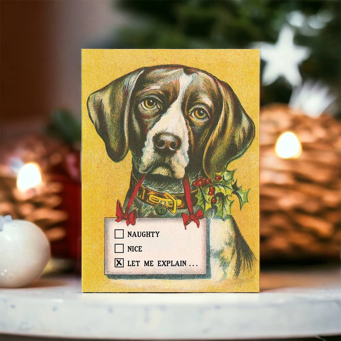 Naughty • Nice • Let Me Explain - Dog Lover's Christmas Card - Mellow Monkey