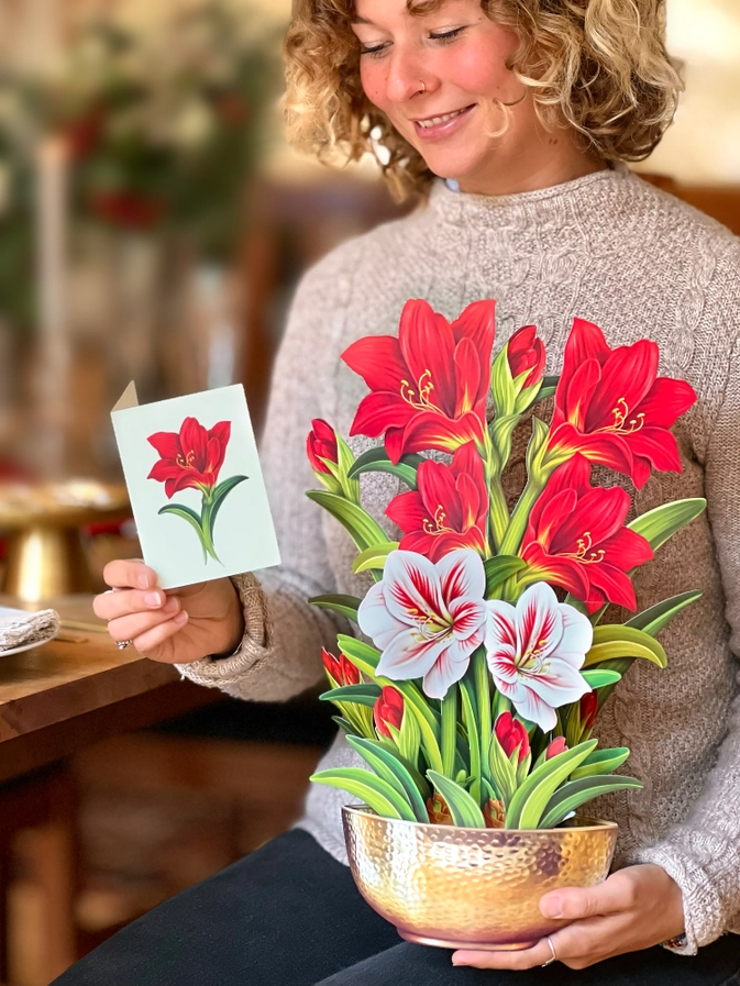 Scarlet Amaryllis - Pop-Up Greeting Card - Mellow Monkey