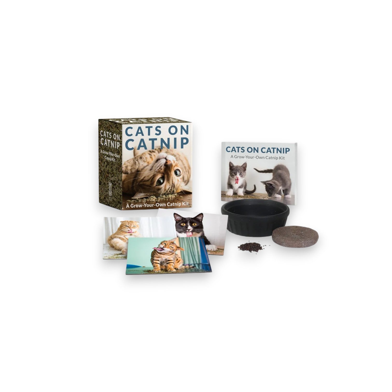 Cats on Catnip - A Grow-Your-Own Catnip Kit - Mellow Monkey